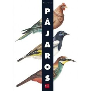 pajaros.jpg