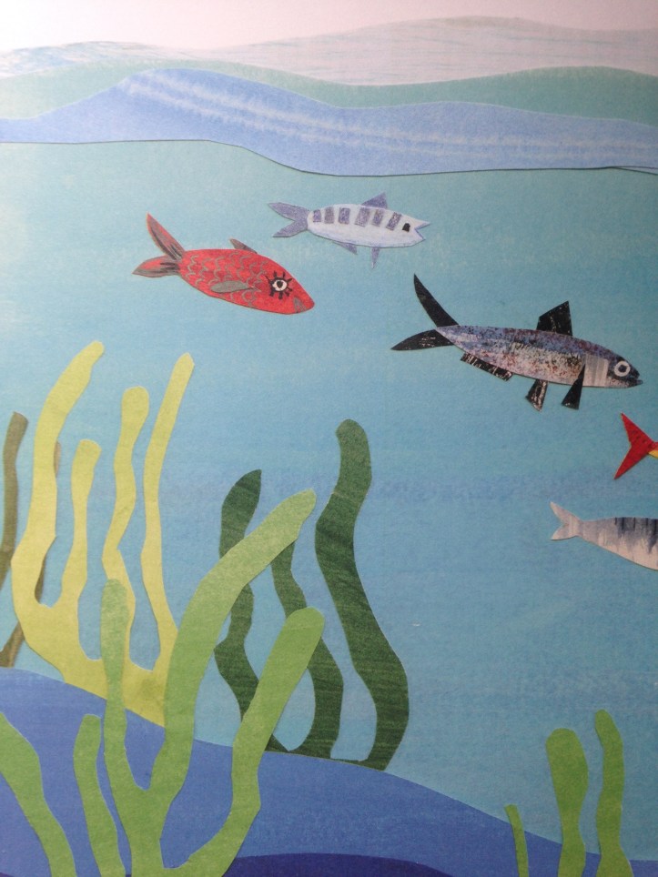 lota cachalota 1.jpg